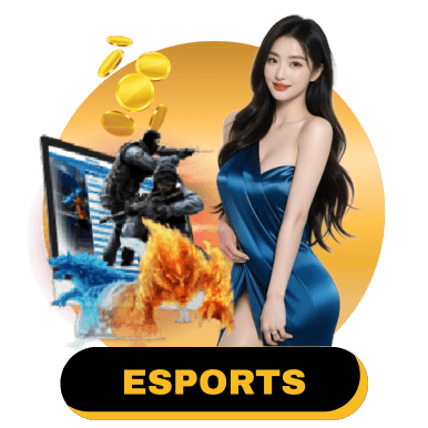 Banner Joyjili Esports