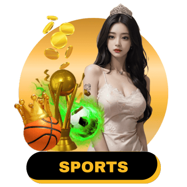Banner Joyjili Sports