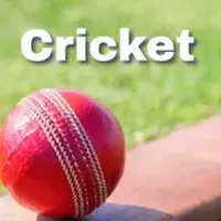 Cricket