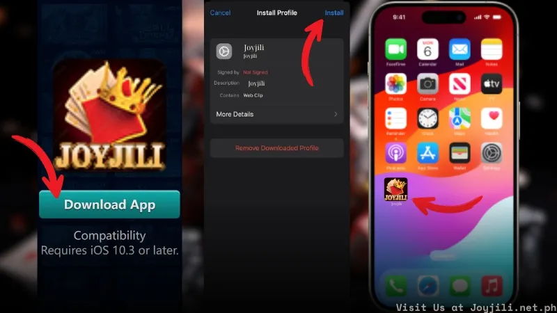 Install Joyjili App iOS